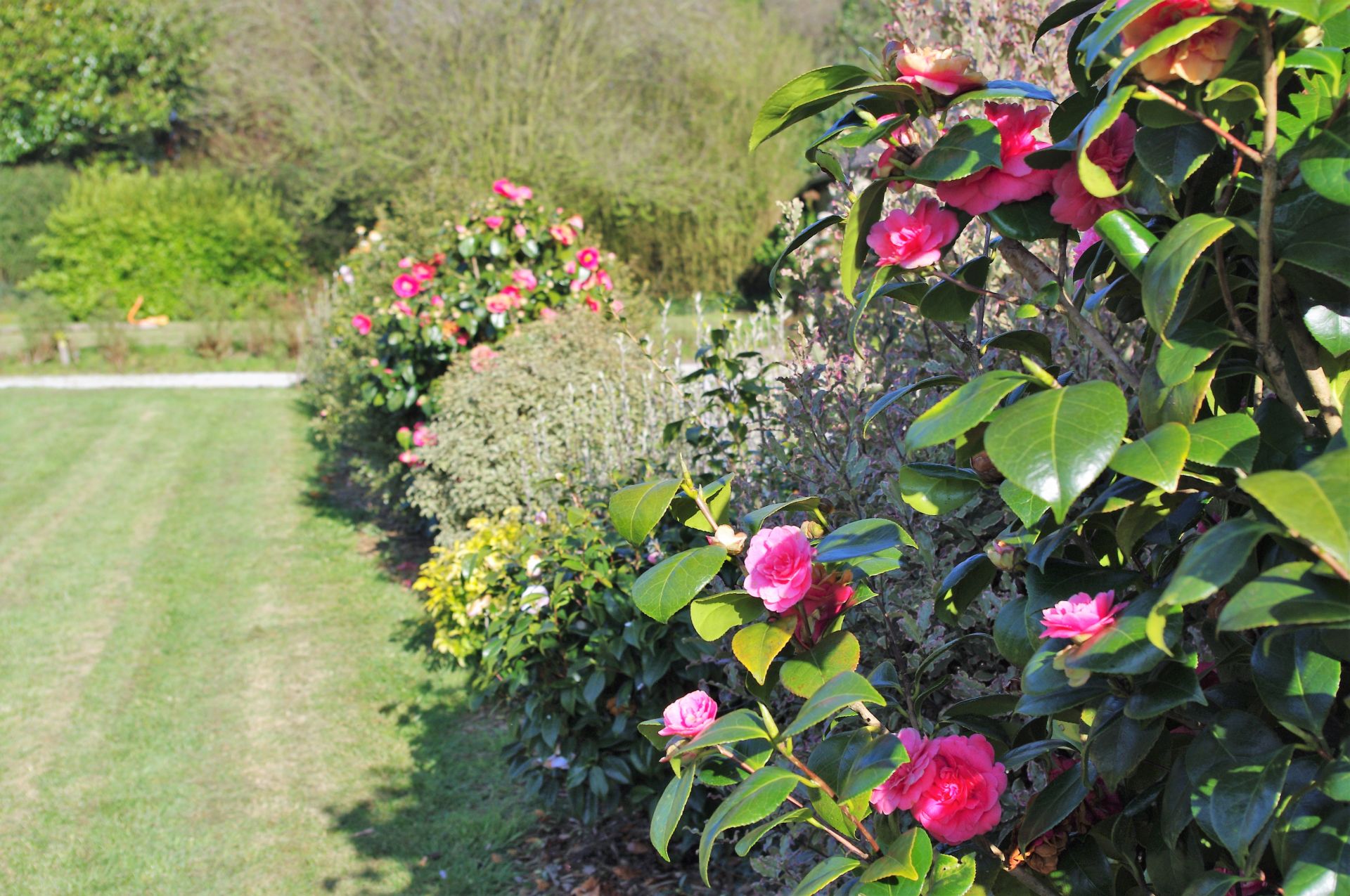 Jardin 4