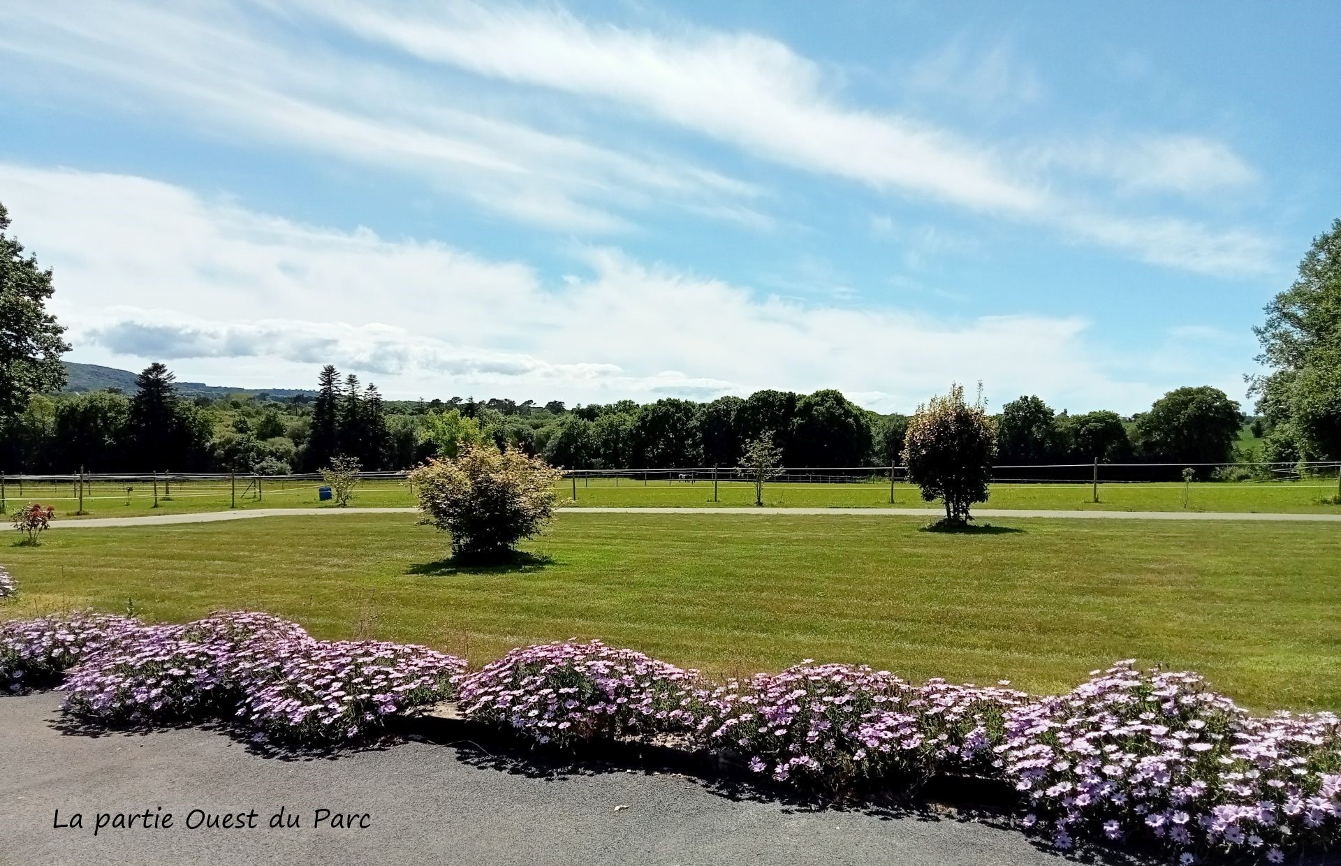 Le parc a l ouest