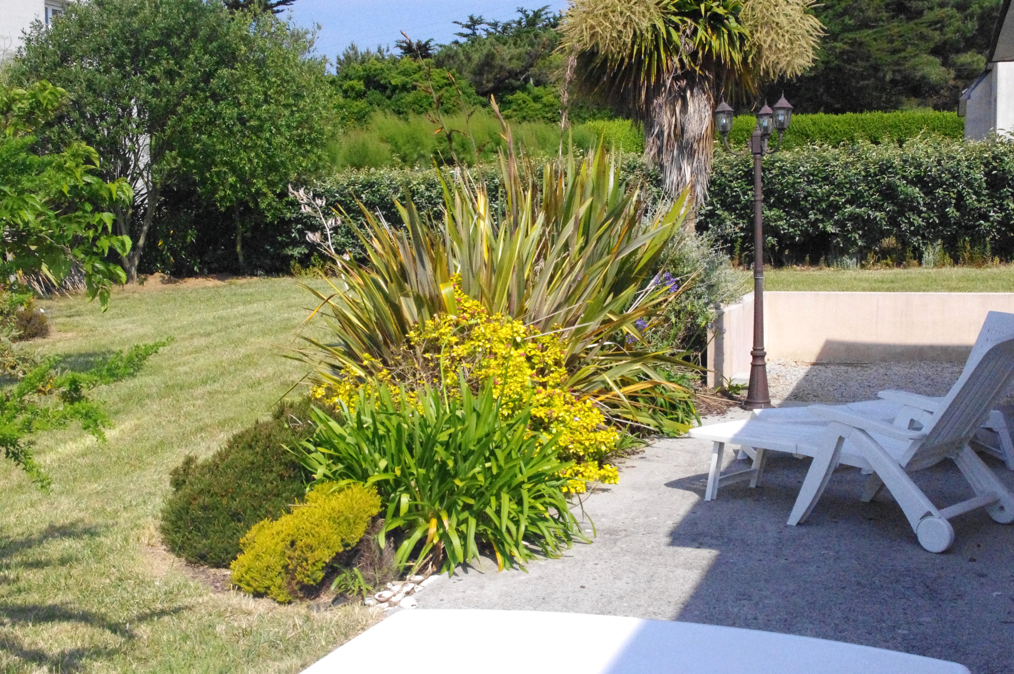 Jardin 4