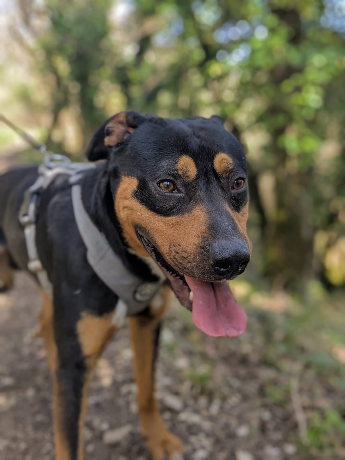 Whatsapp image 2025 04 05 at 18 57 12