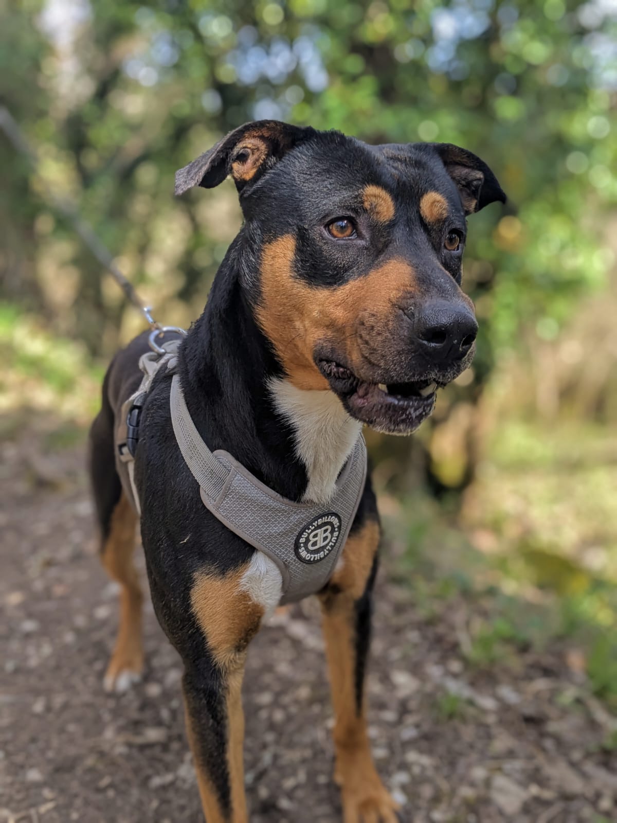 Whatsapp image 2025 04 05 at 18 57 12 2 