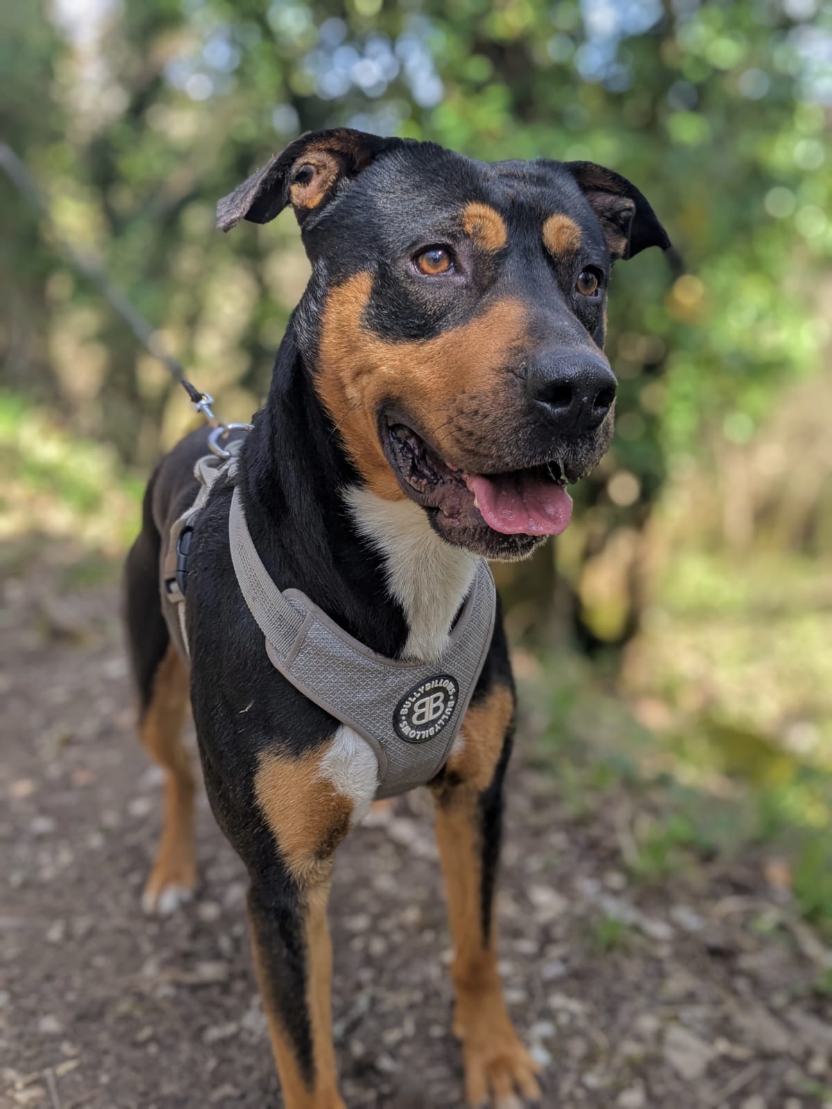 Whatsapp image 2025 04 05 at 18 57 12 1 