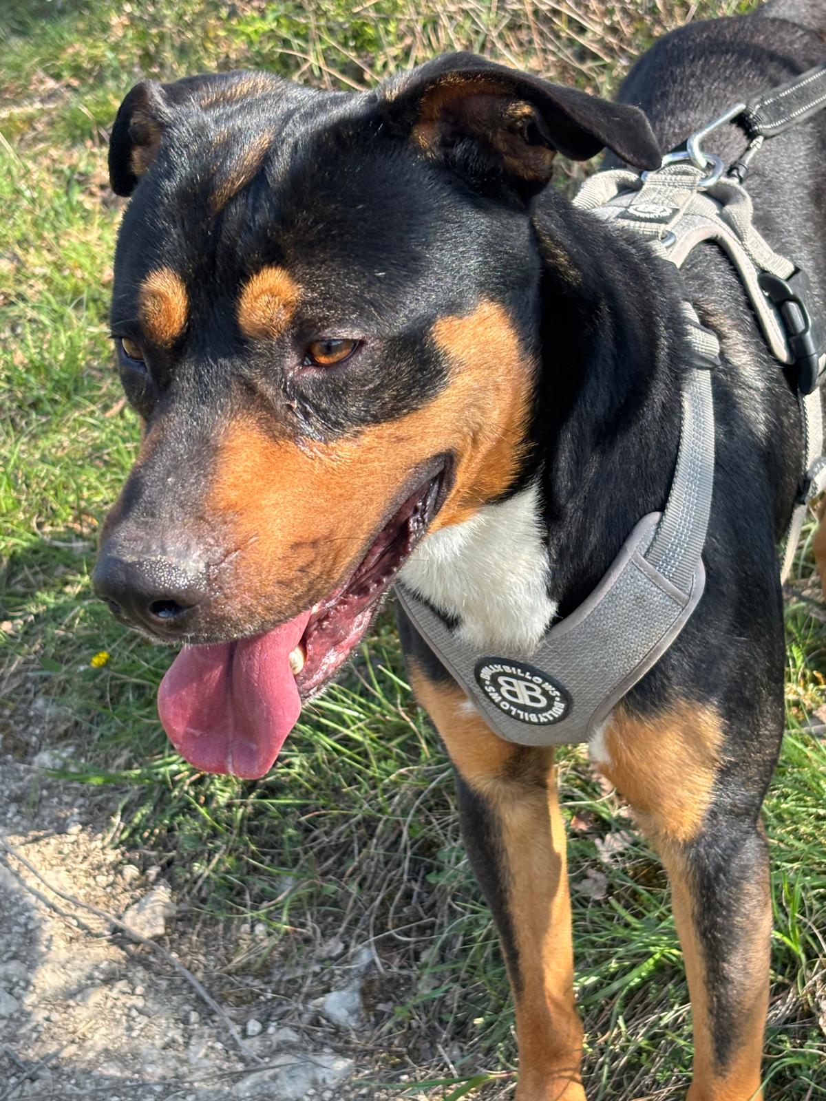 Whatsapp image 2025 04 06 at 19 26 59