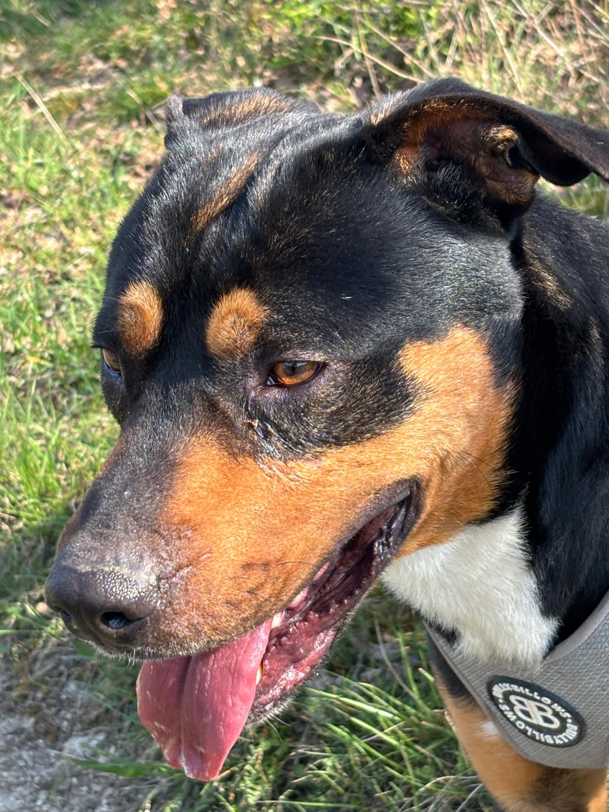 Whatsapp image 2025 04 06 at 19 26 25