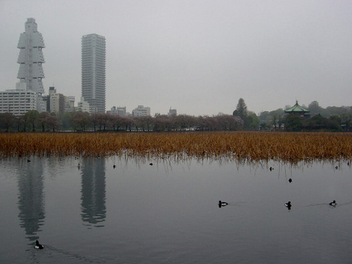 Tokyo Le parc Ueno 