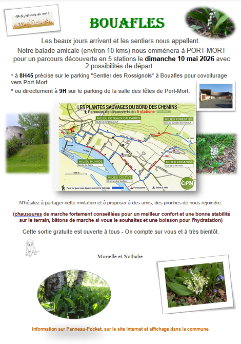 Capture-d-ecran-2026-05-04-211246