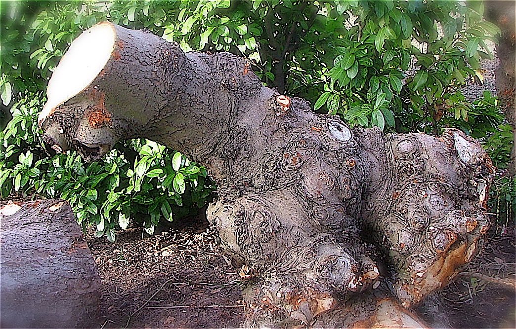 Dscf3160