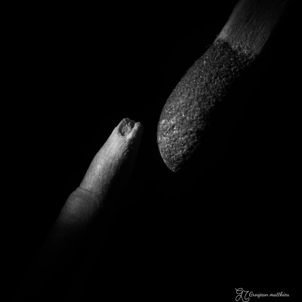 Tournage a l archet piece de bois cassee 01