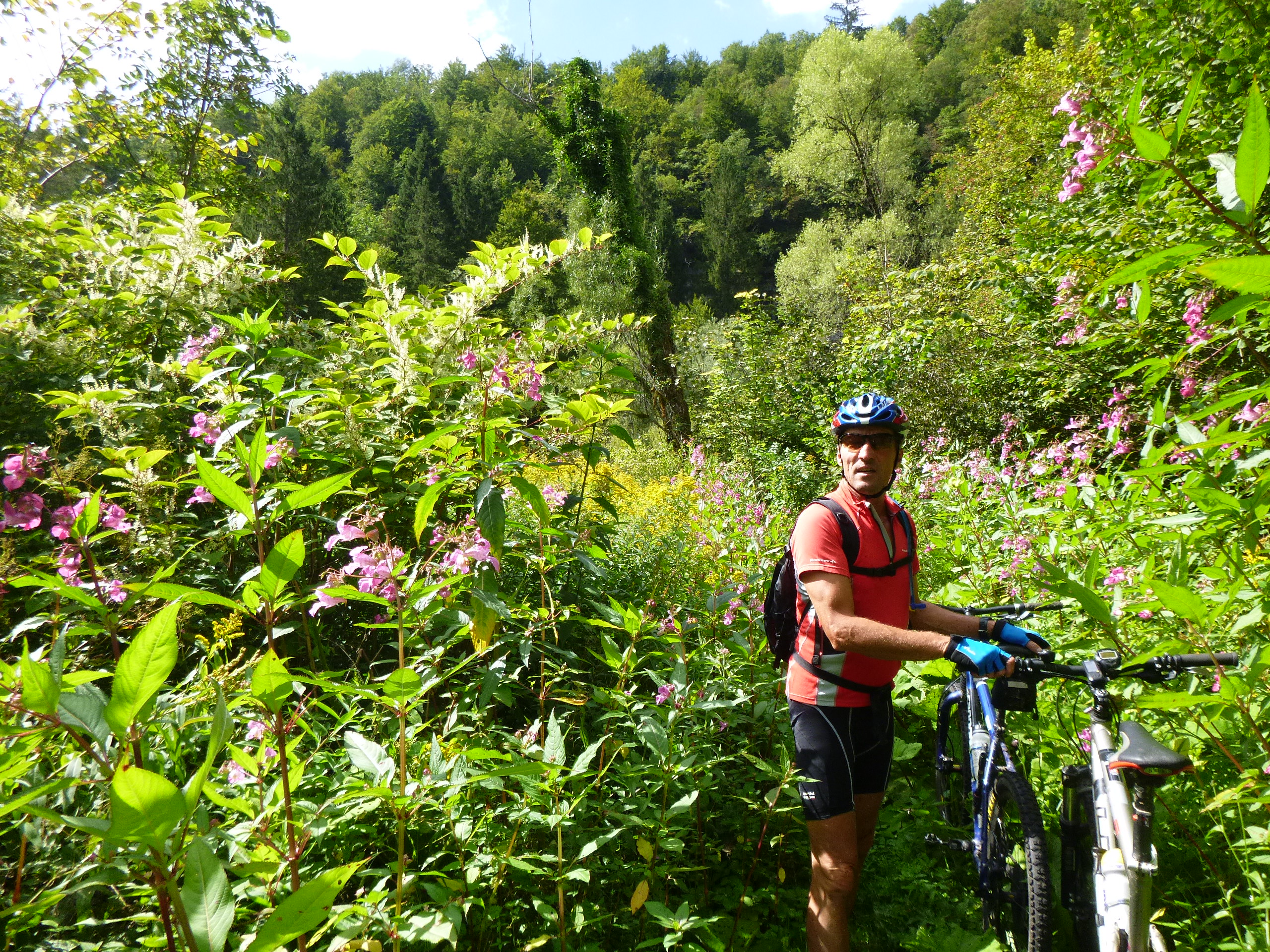 Vtt train st laurent aou t 14 048