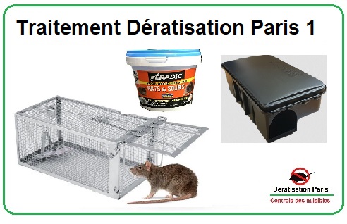 Traitement dératisation Paris 1