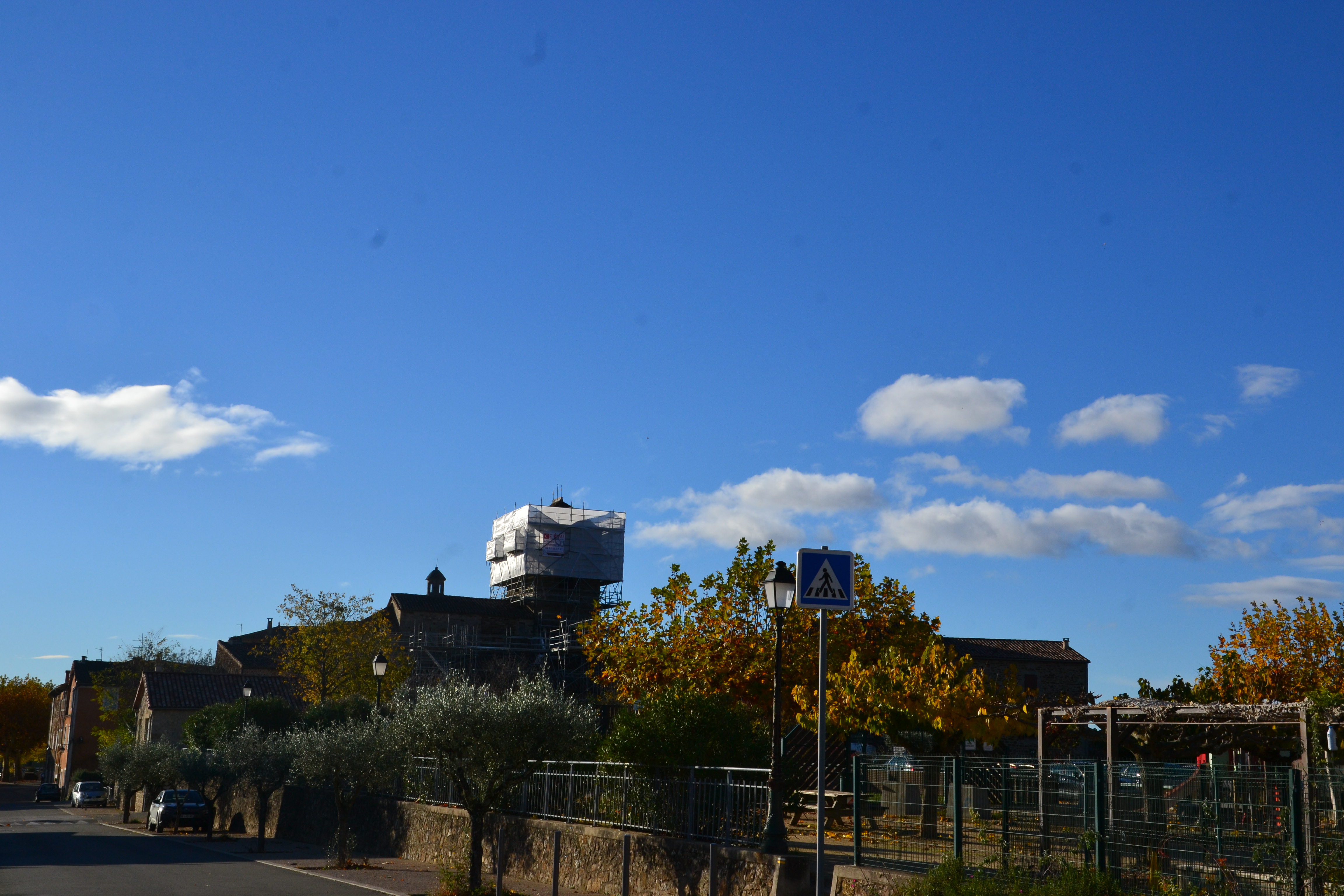 Dsc 0060