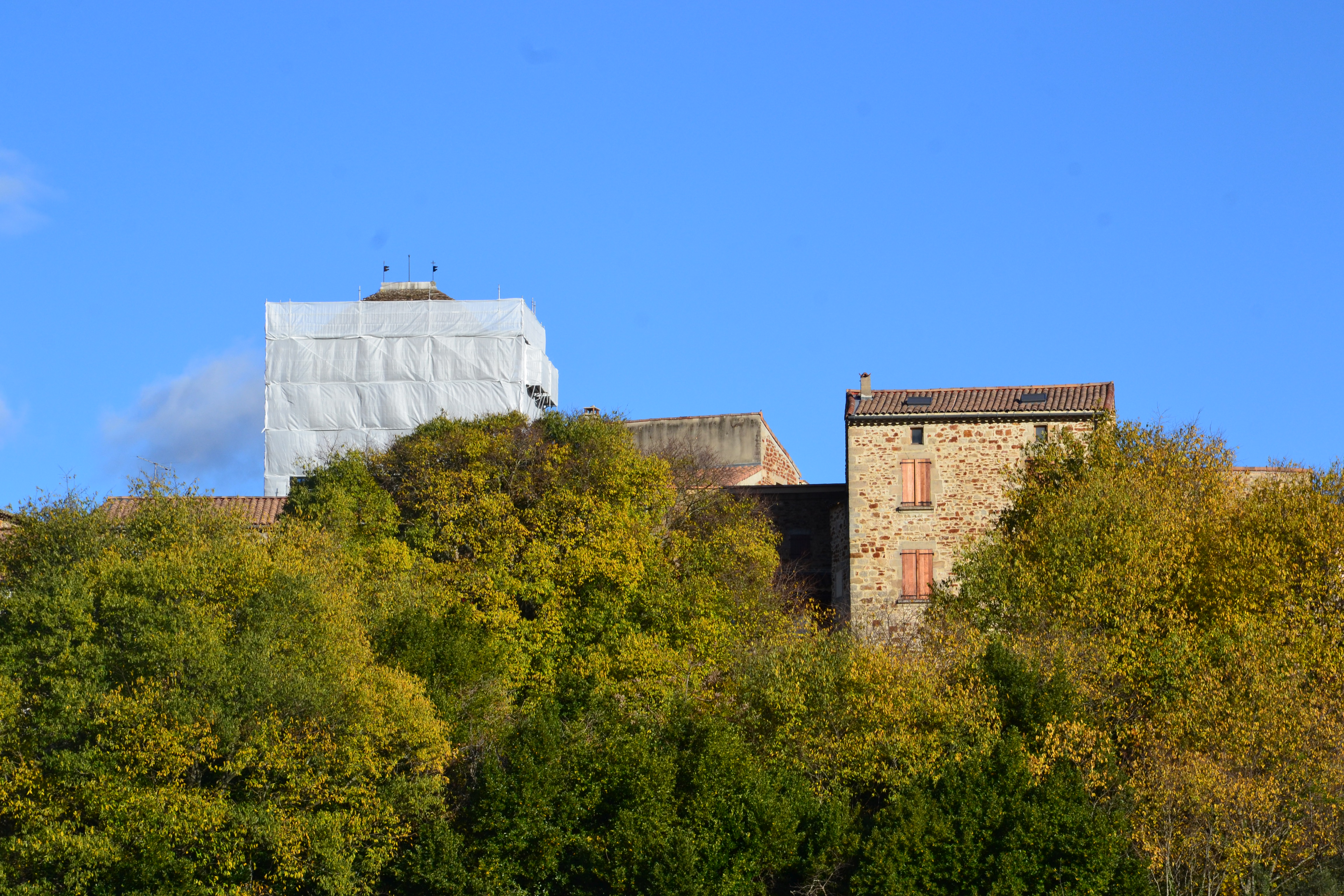 Dsc 0033b