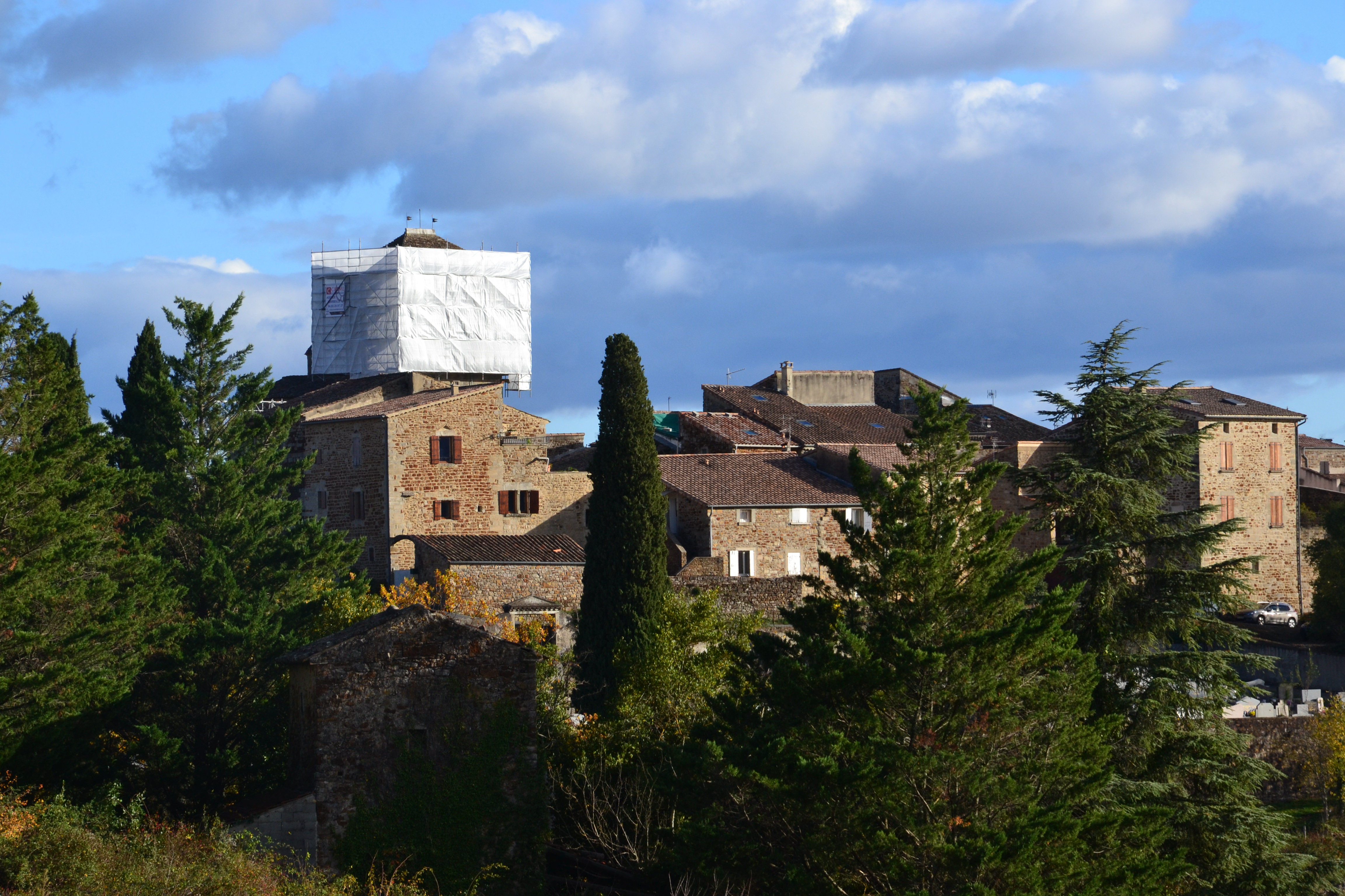 Dsc 0008b
