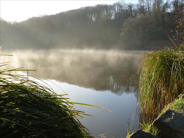 Brume au bois riou