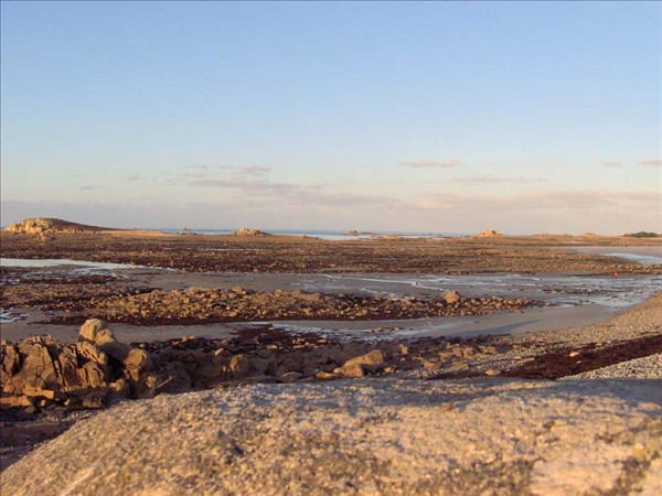 Dunes soleil d hiver 4