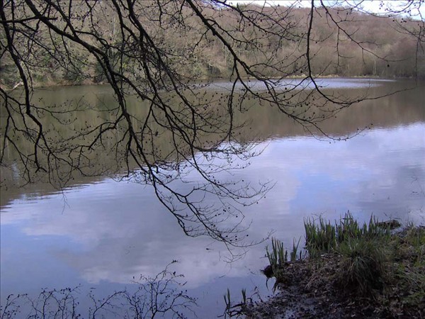 Grand etang du bois riou