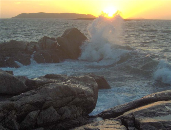 L orteil et vague