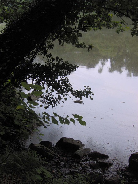 Petit etang