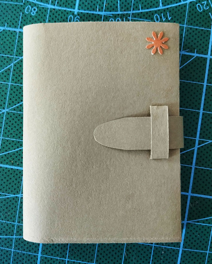 2025 06 carnet mini vert 1 