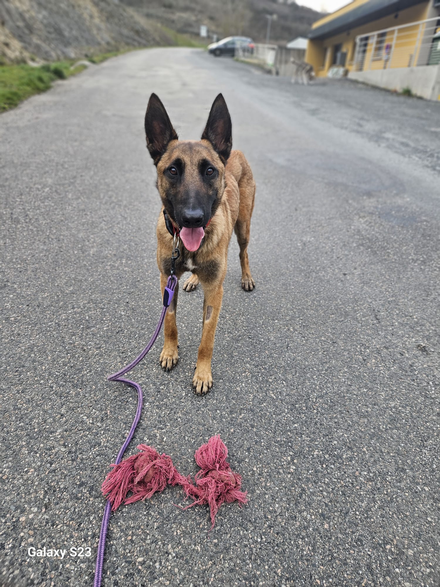 Whatsapp image 2025 03 23 at 22 26 58