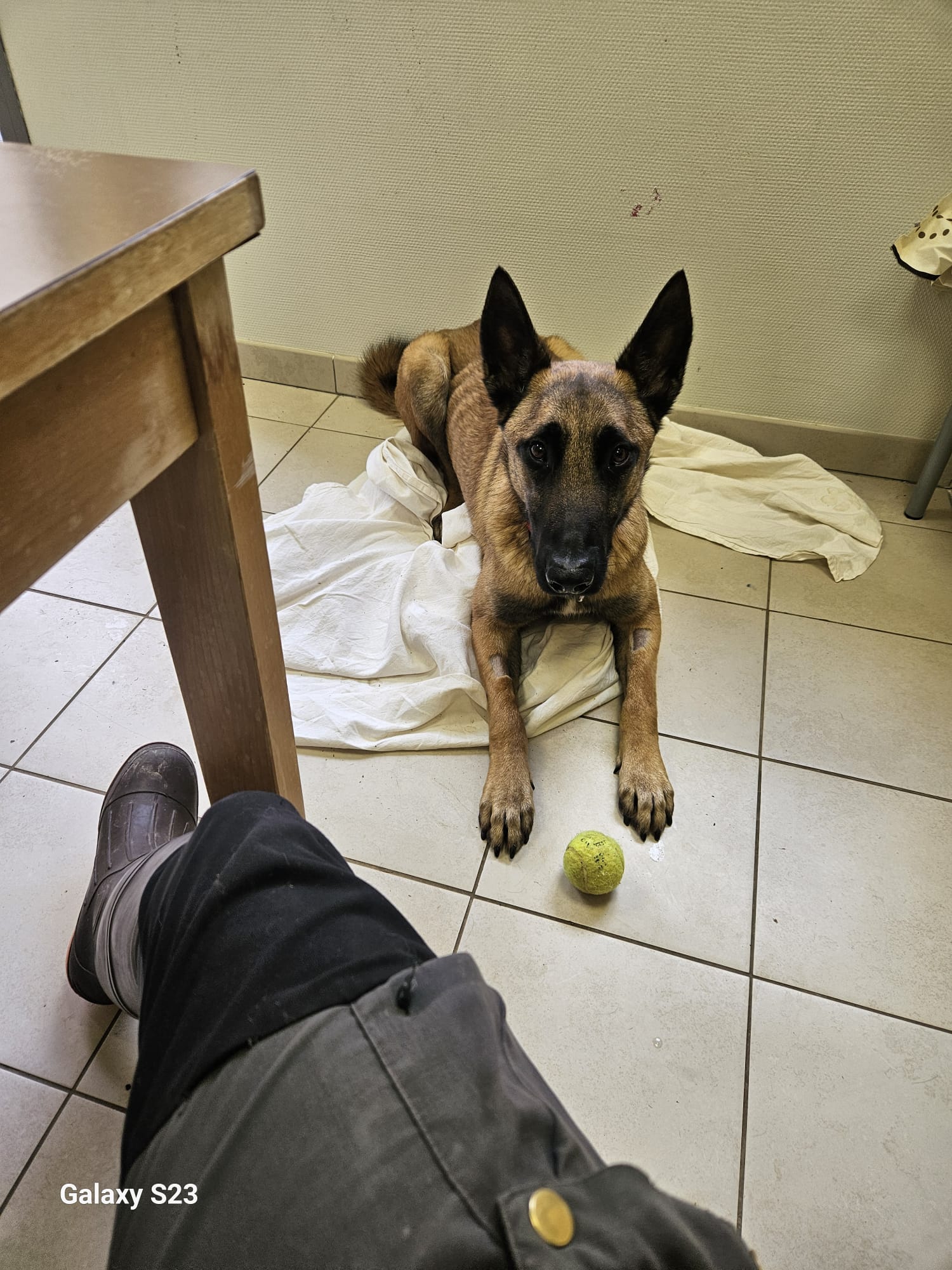 Whatsapp image 2025 03 23 at 22 26 58 1 