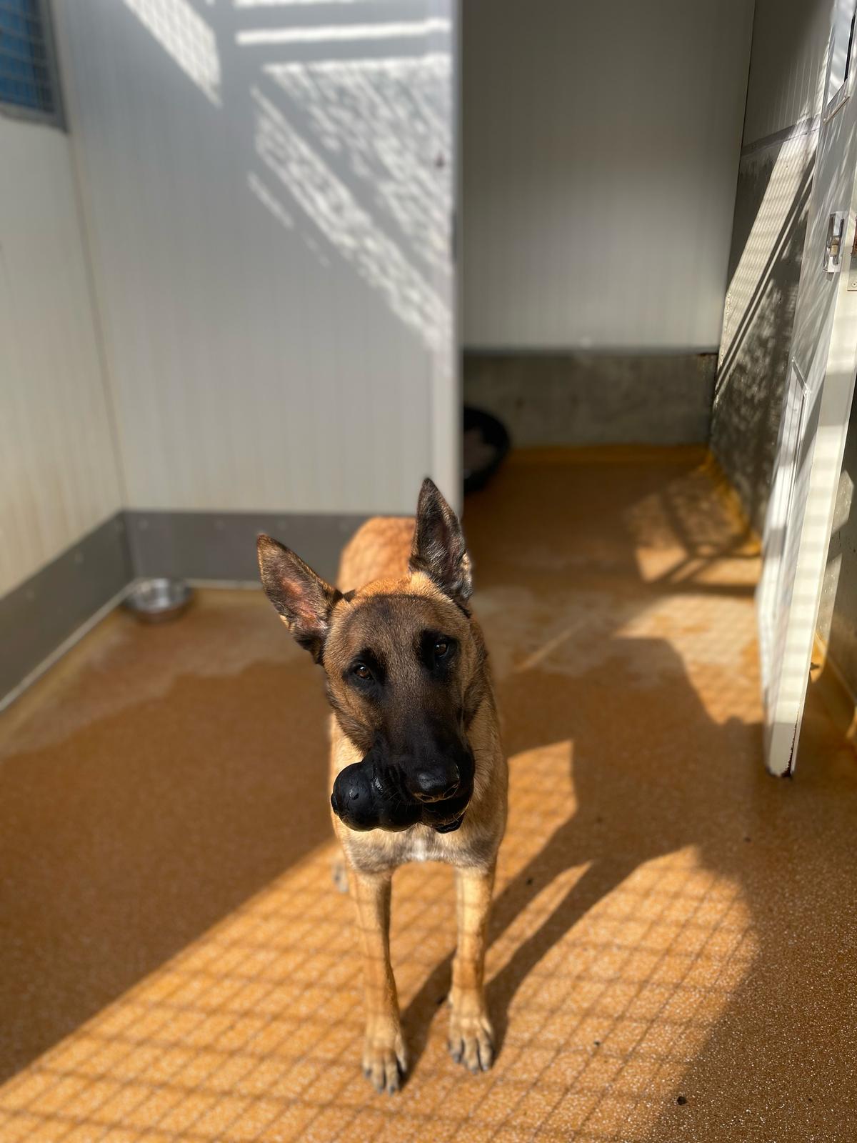 Whatsapp image 2025 02 19 at 14 41 51