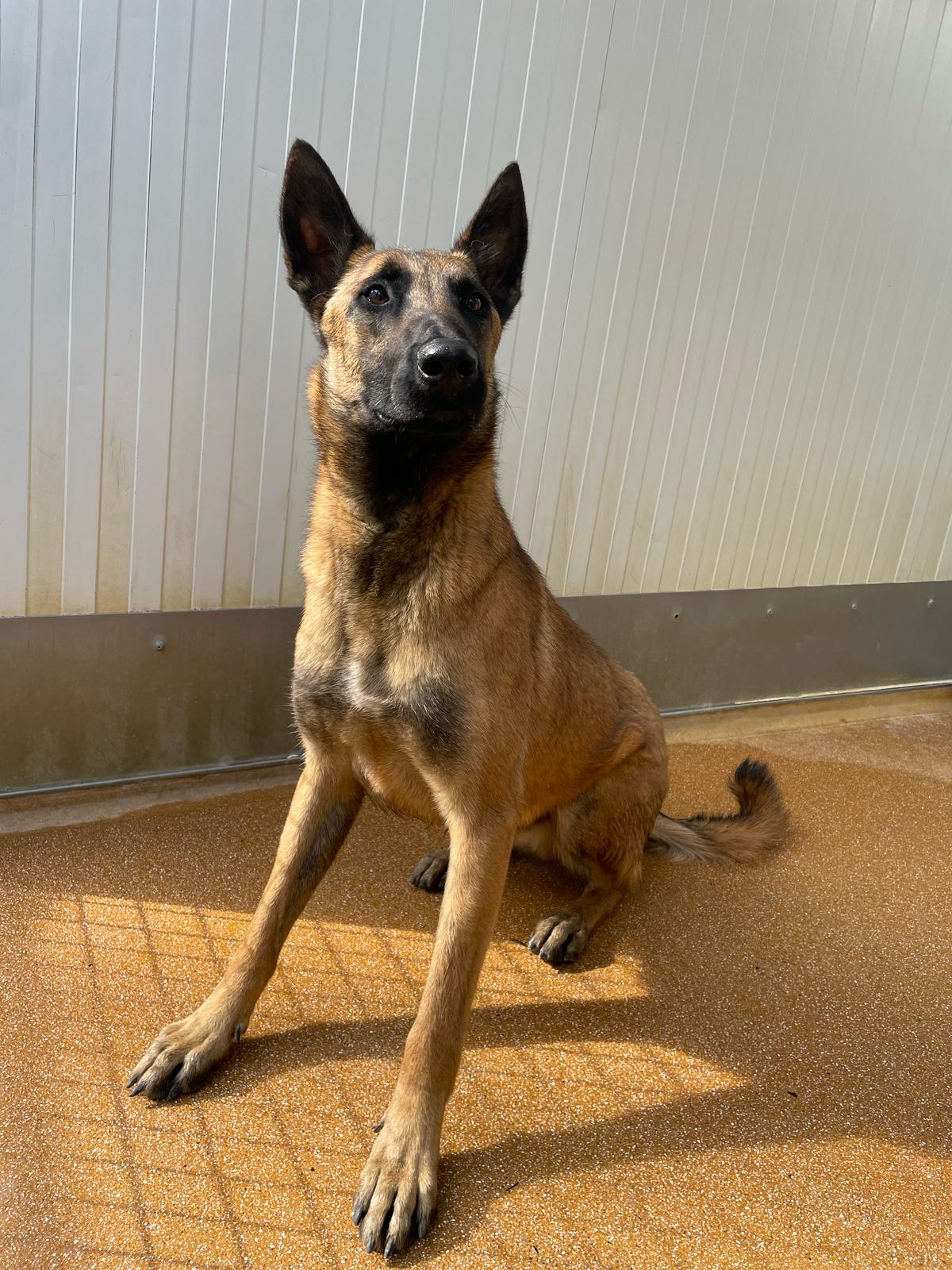 Whatsapp image 2025 02 19 at 14 41 20