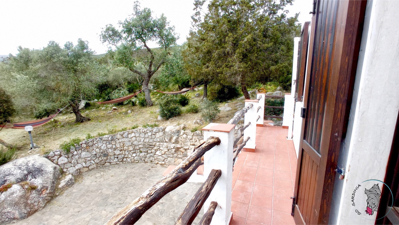 Casa ulivo 15