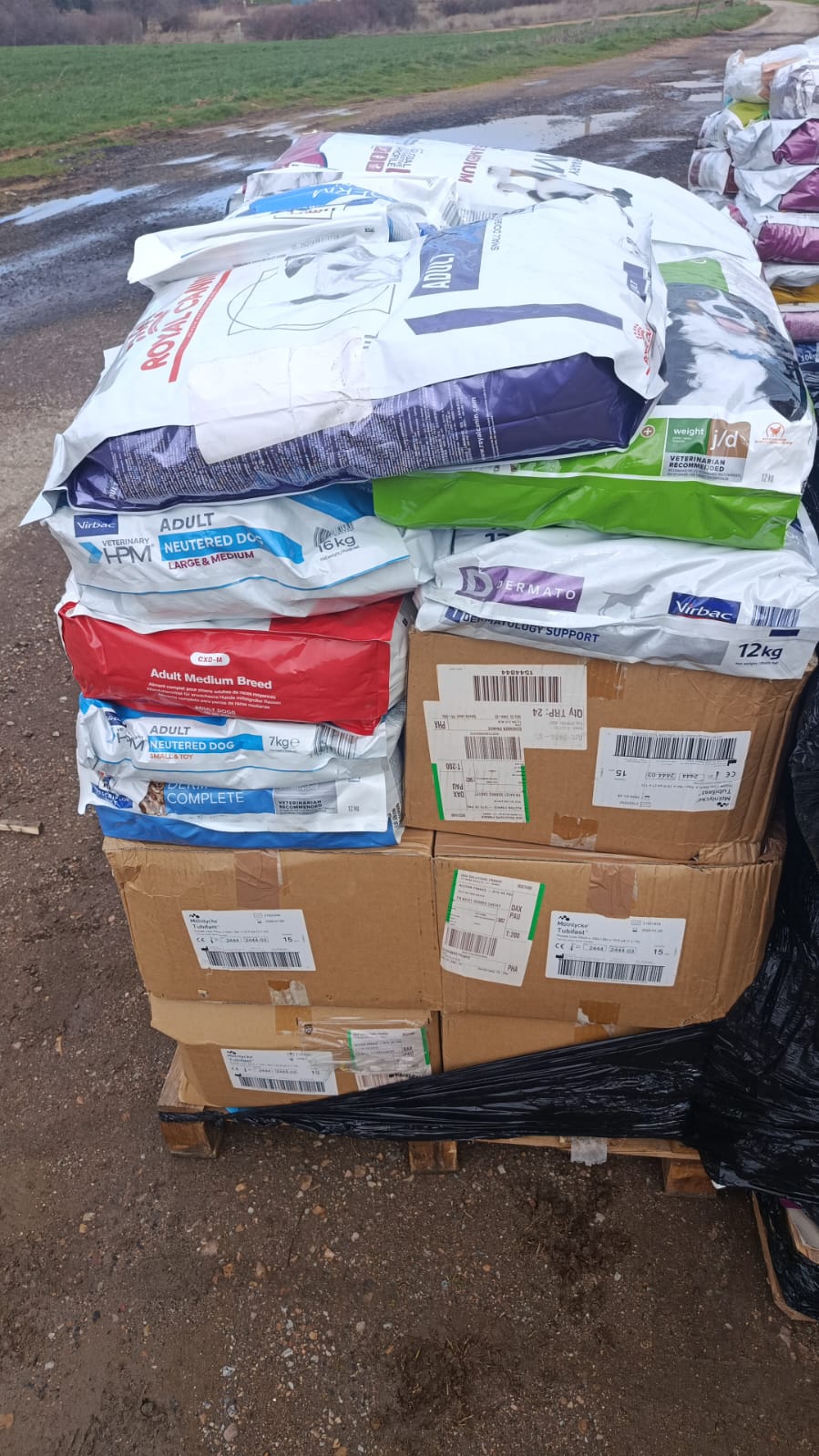 Whatsapp image 2026 02 12 at 16 23 02