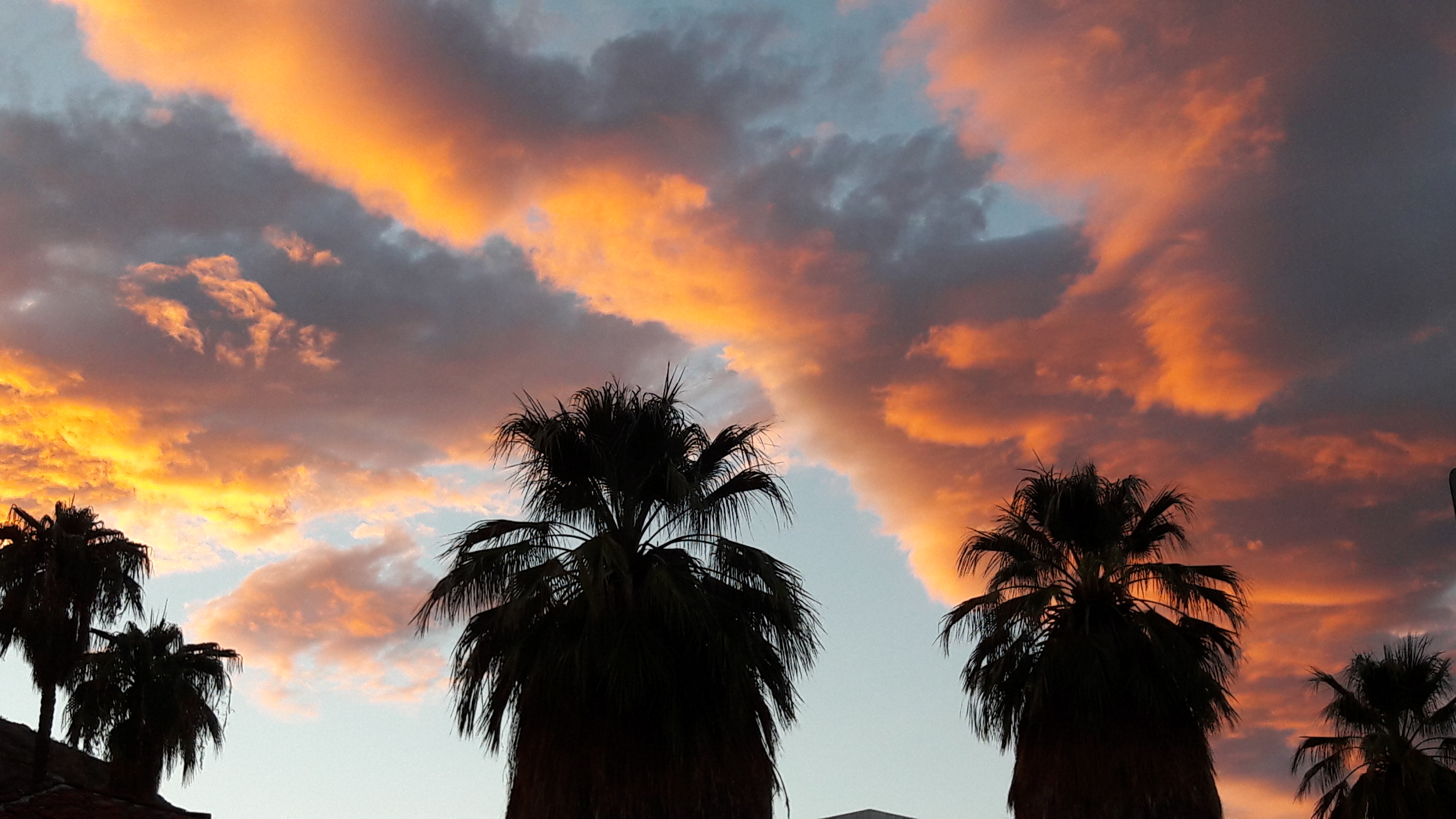 J3 : LOS ANGELES - PALM SPRINGS