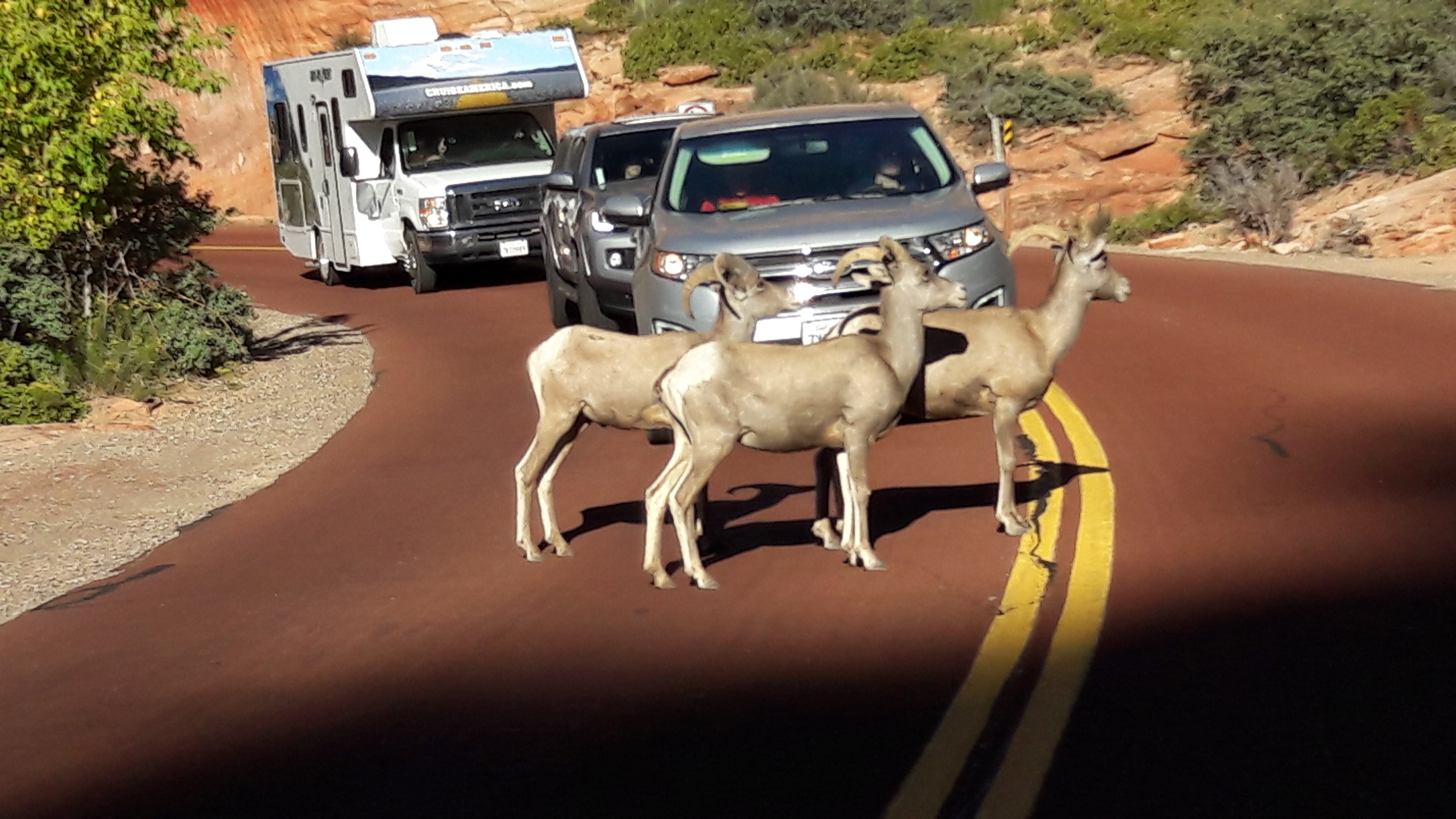 J12 : KENAB - LAS VEGAS