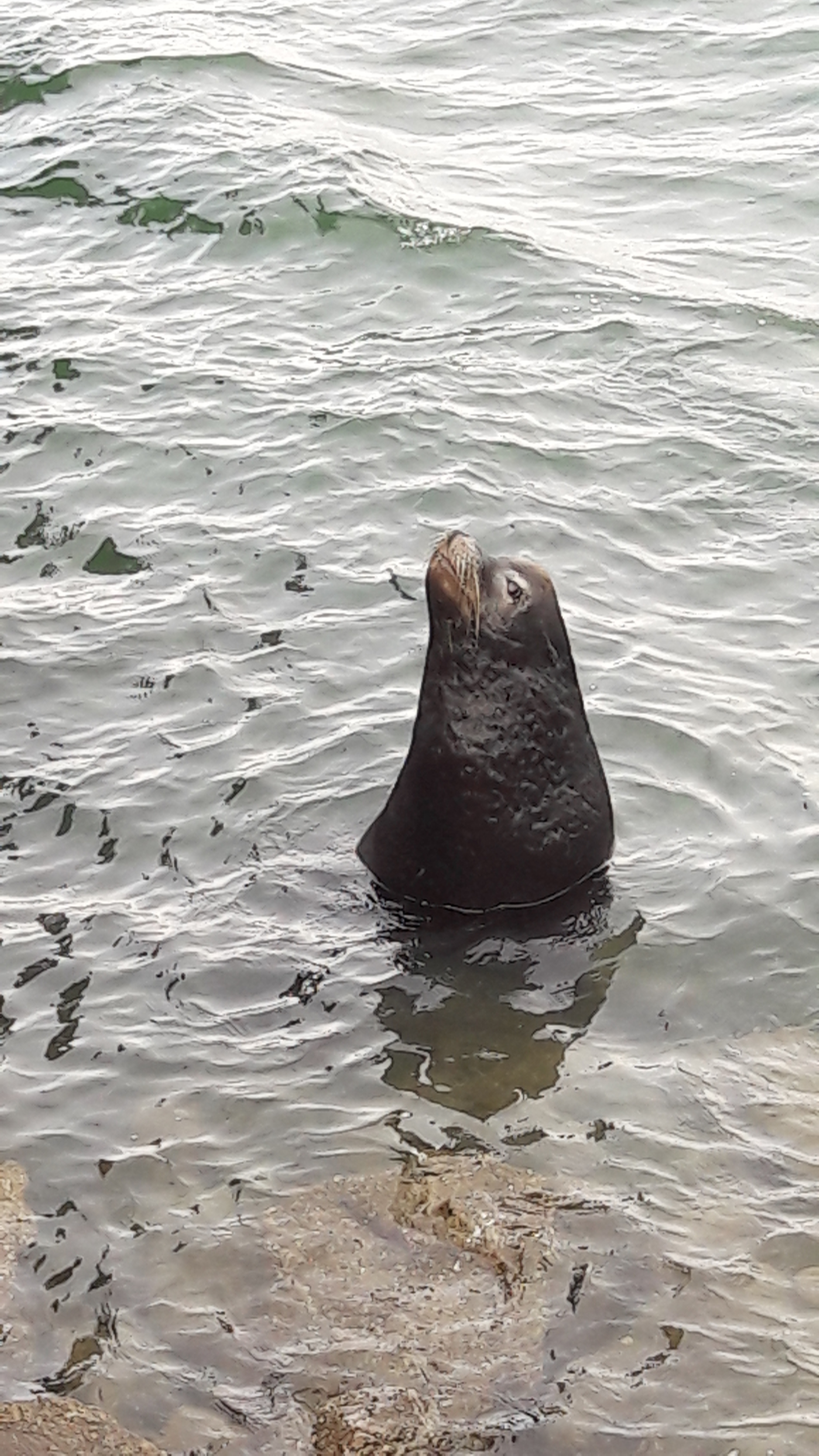 J20 : Pacific coast 2 : retour Los Angeles