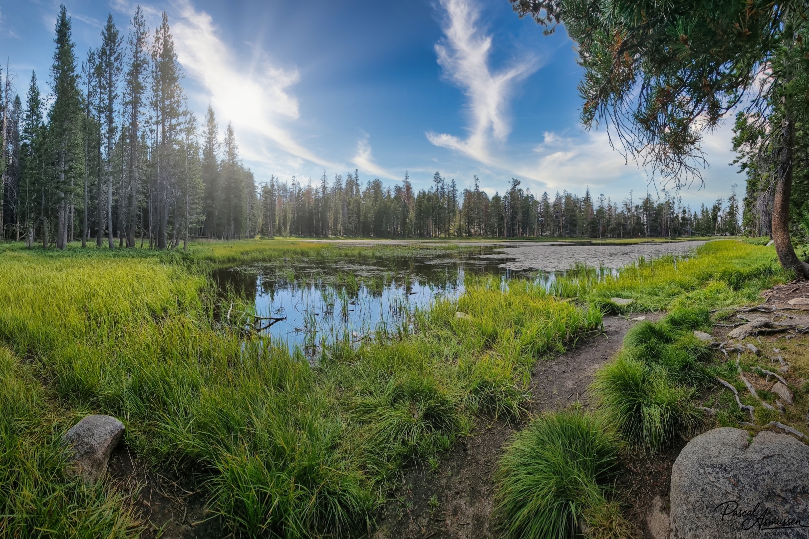 Tioga road grande 