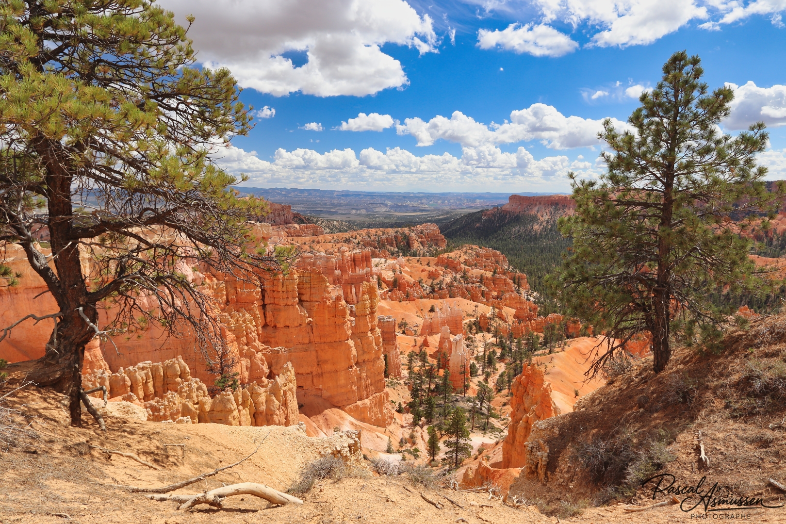 Sunrise point bryce canyon usa grande 