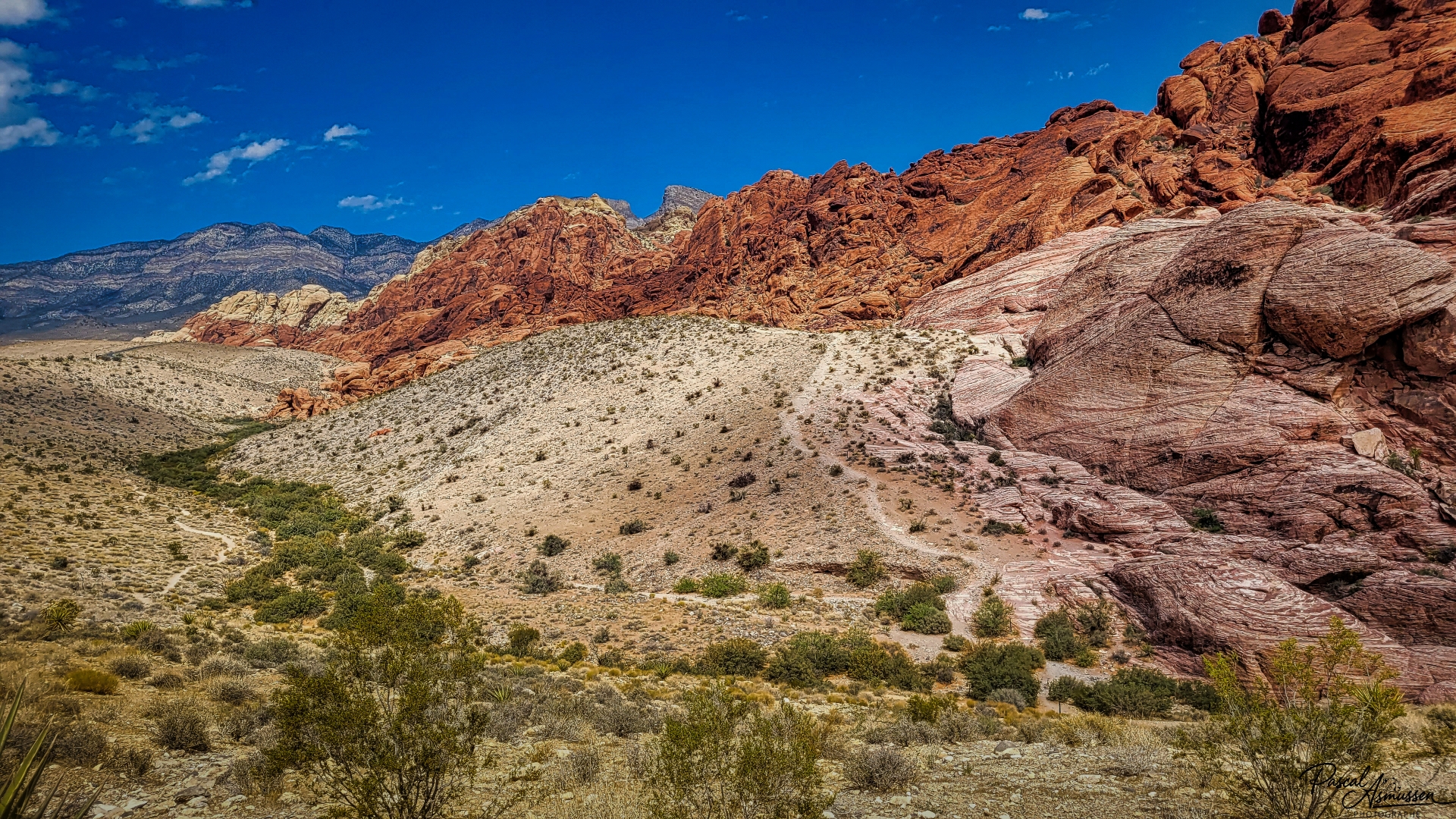 Red rock canyon nevada usa grande 