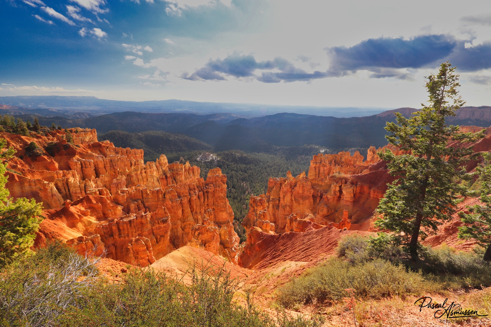 Ponderosa canyon bryce canyon np utah usa grande 