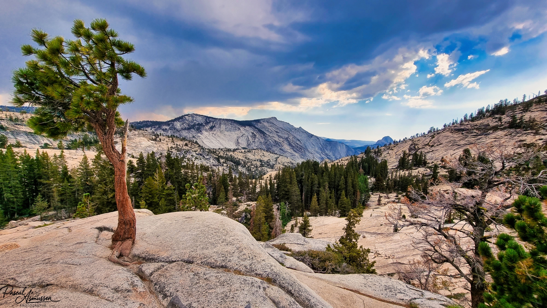 Olmsted point tioga road californie usa grande 