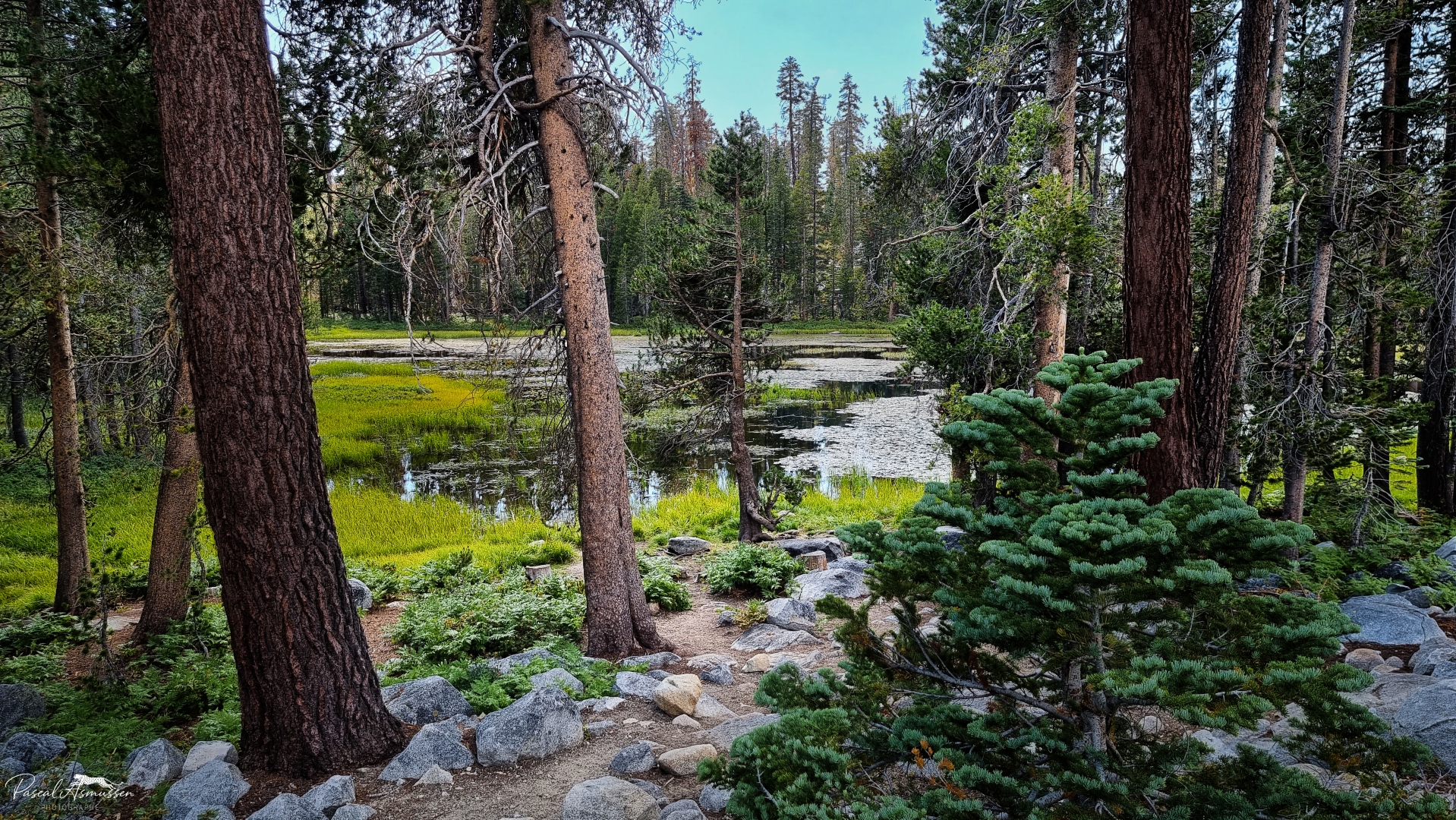 Lac siesta 2 tioga road yosimite np usa grande 