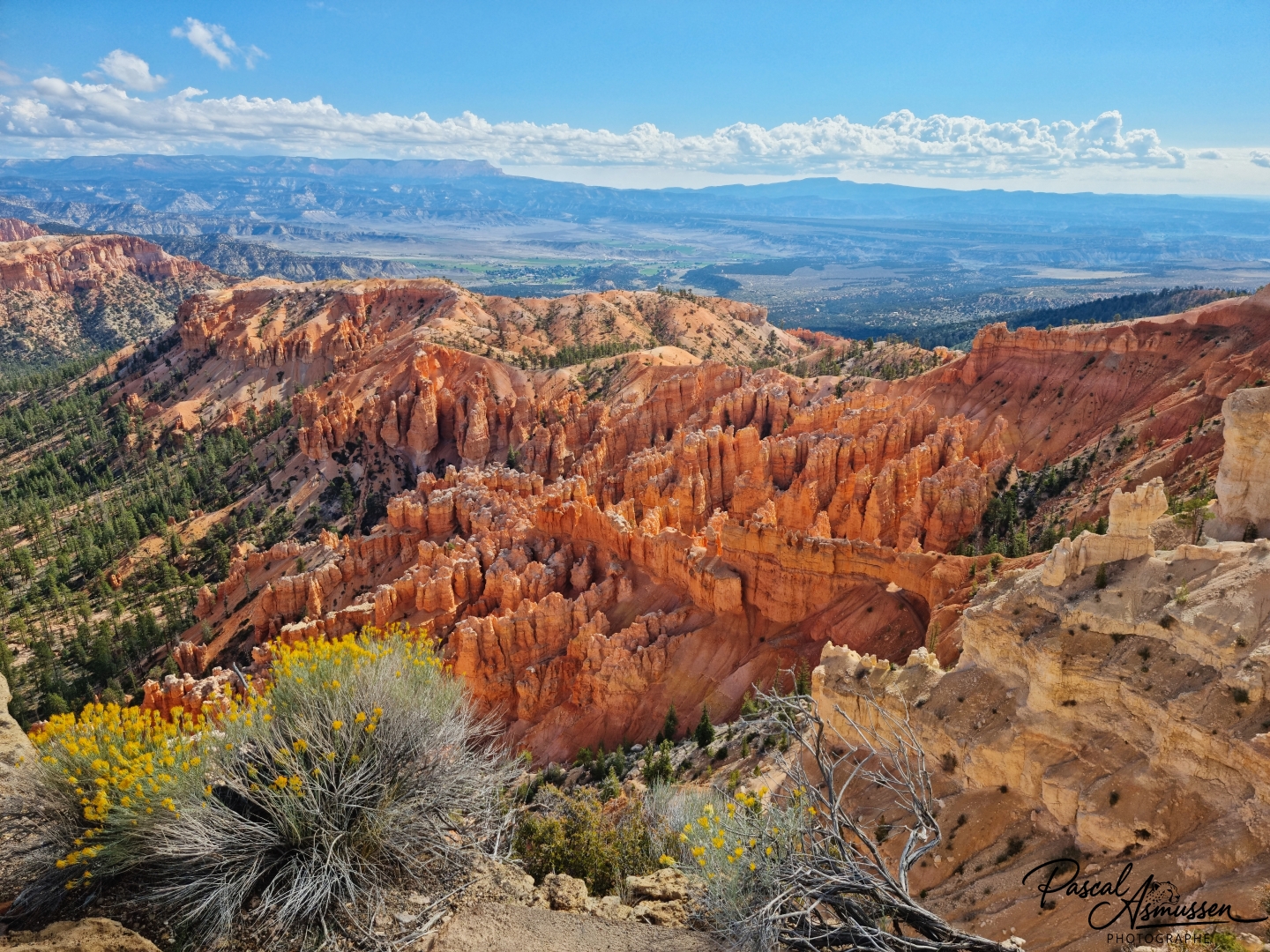 Bryce canyon utah usa grande 