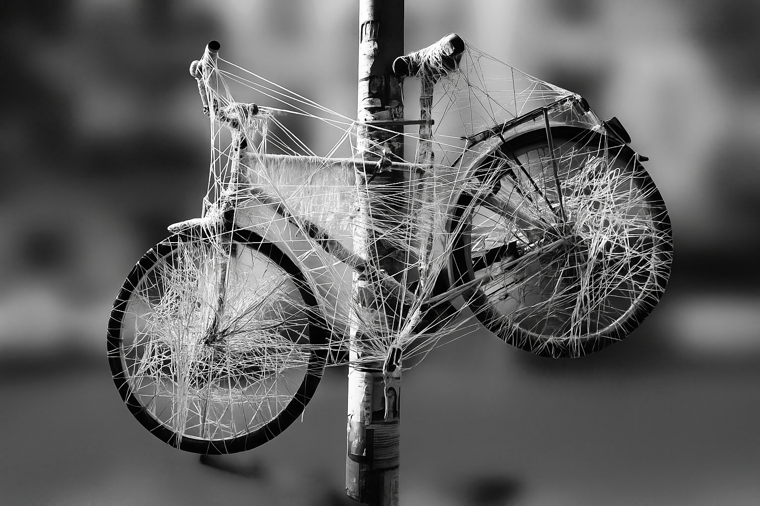 Velo copie