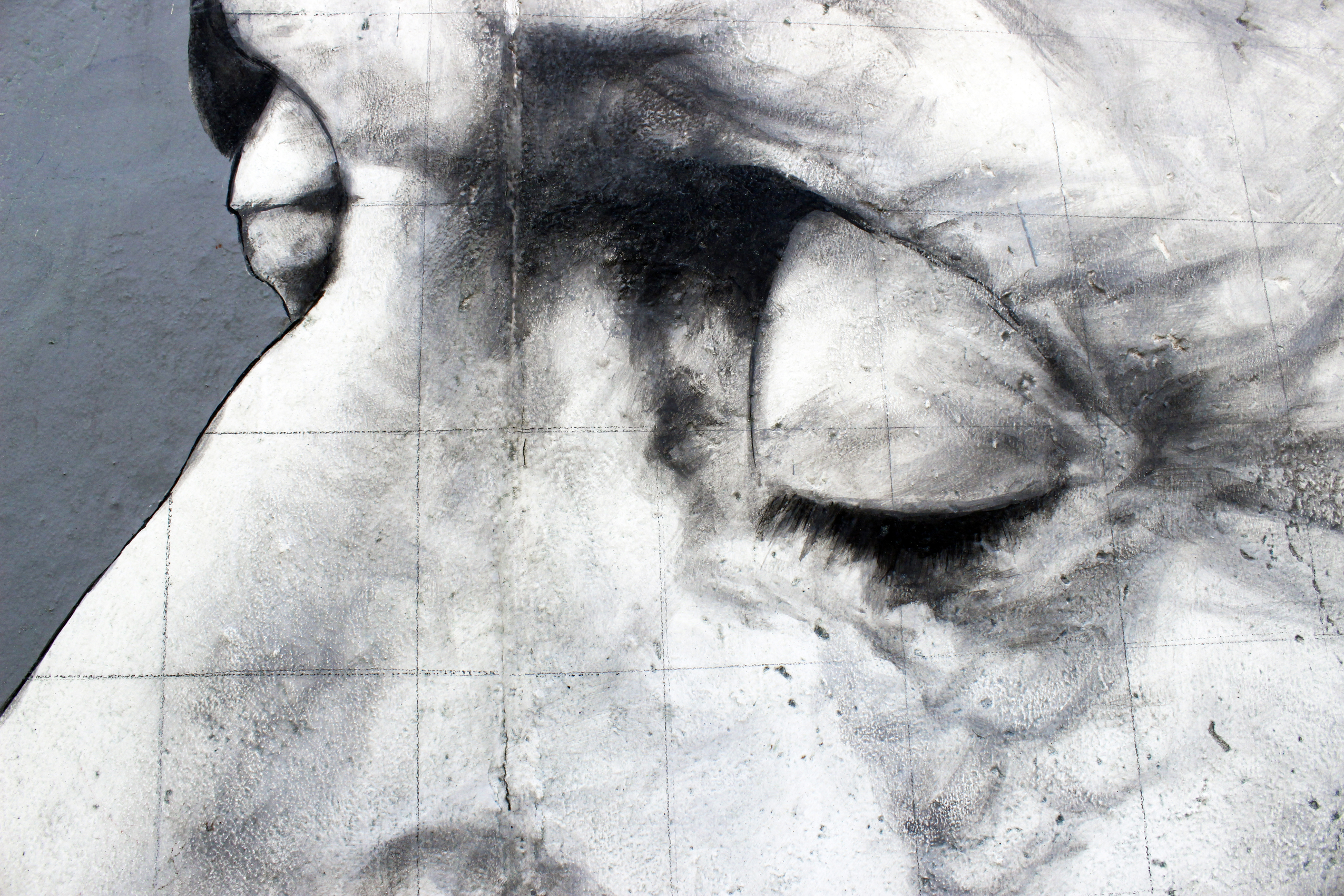 Graff30