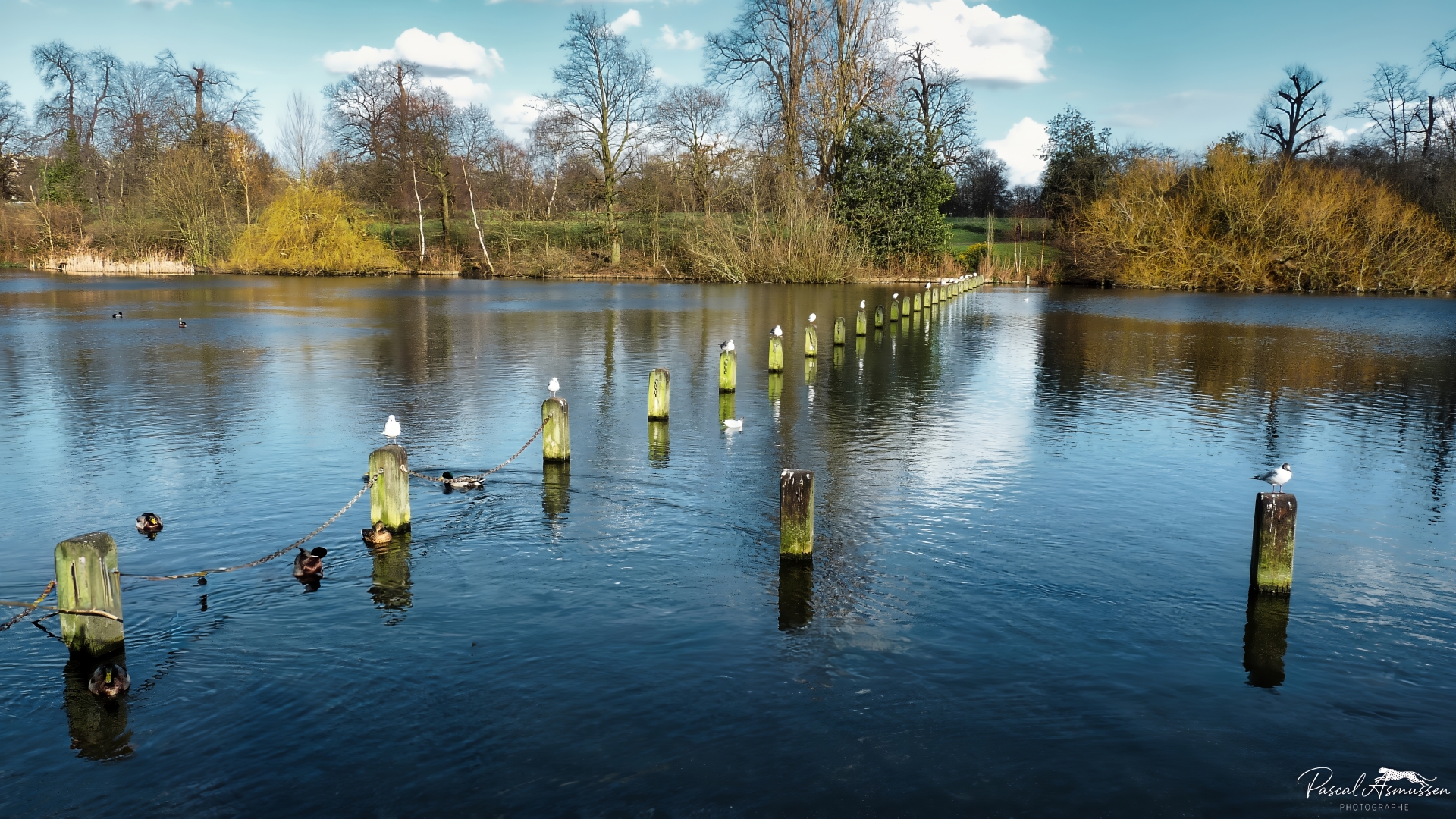 Hyde park londres grande 