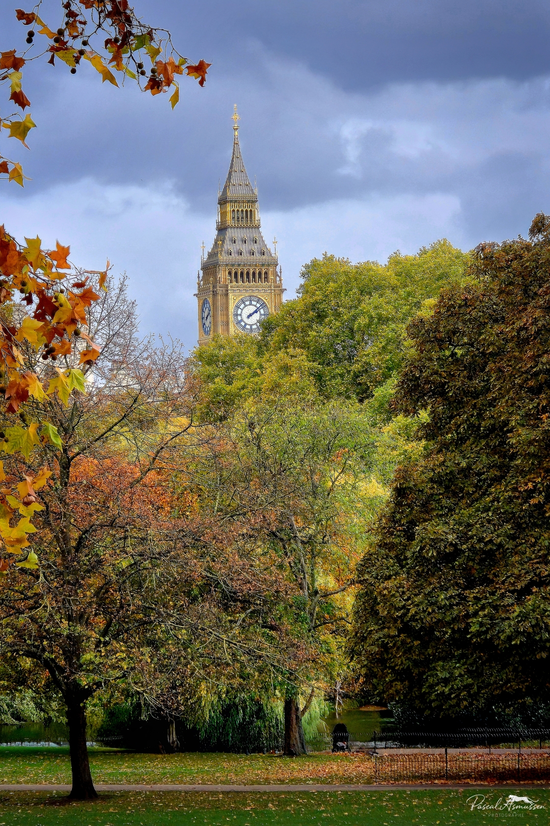 Tour elisabeth depuis st james garden londres grande 