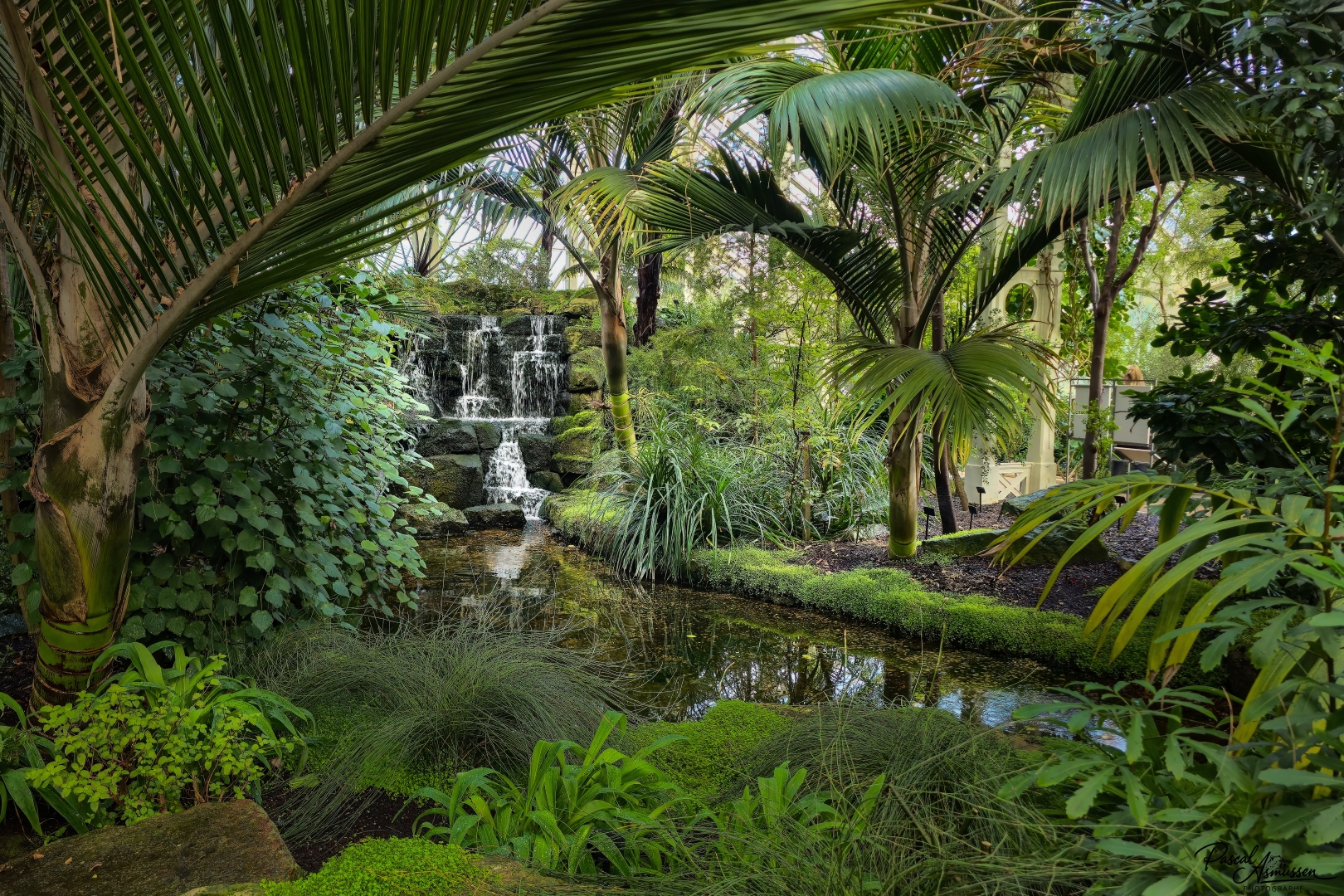 Serre kew garden londres grande 