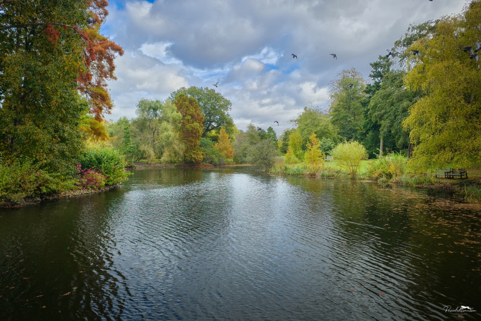 Lac et oiseaux kew garden londres grande 