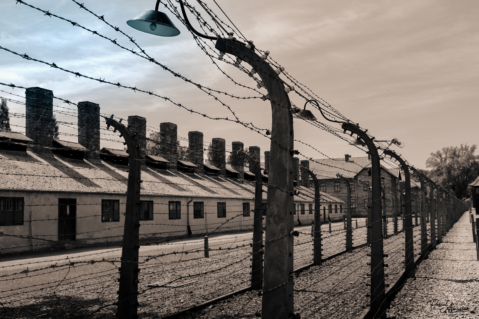 Auschwitz birkenau pologne grande 