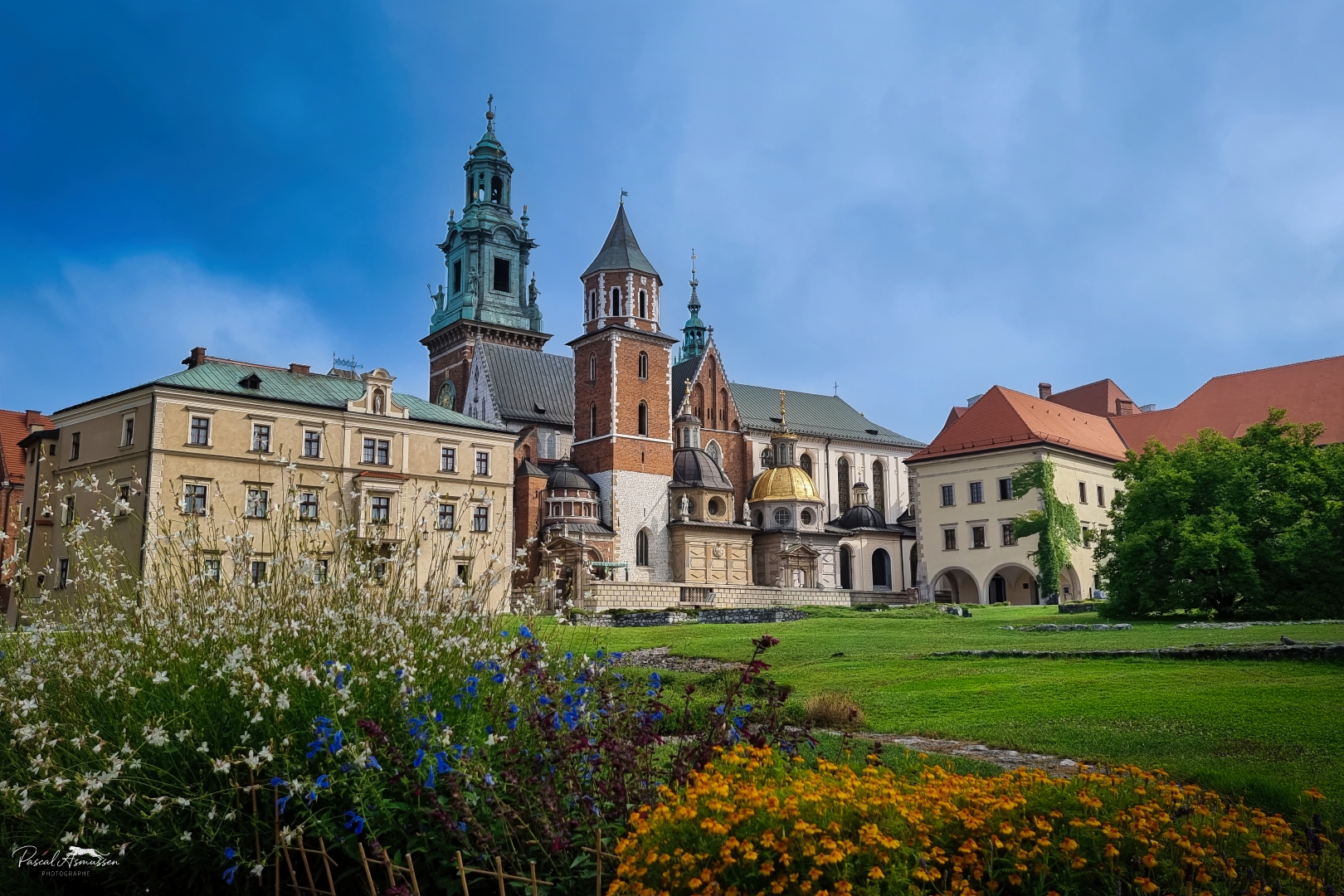 Chateau de cracovie pologne grande 