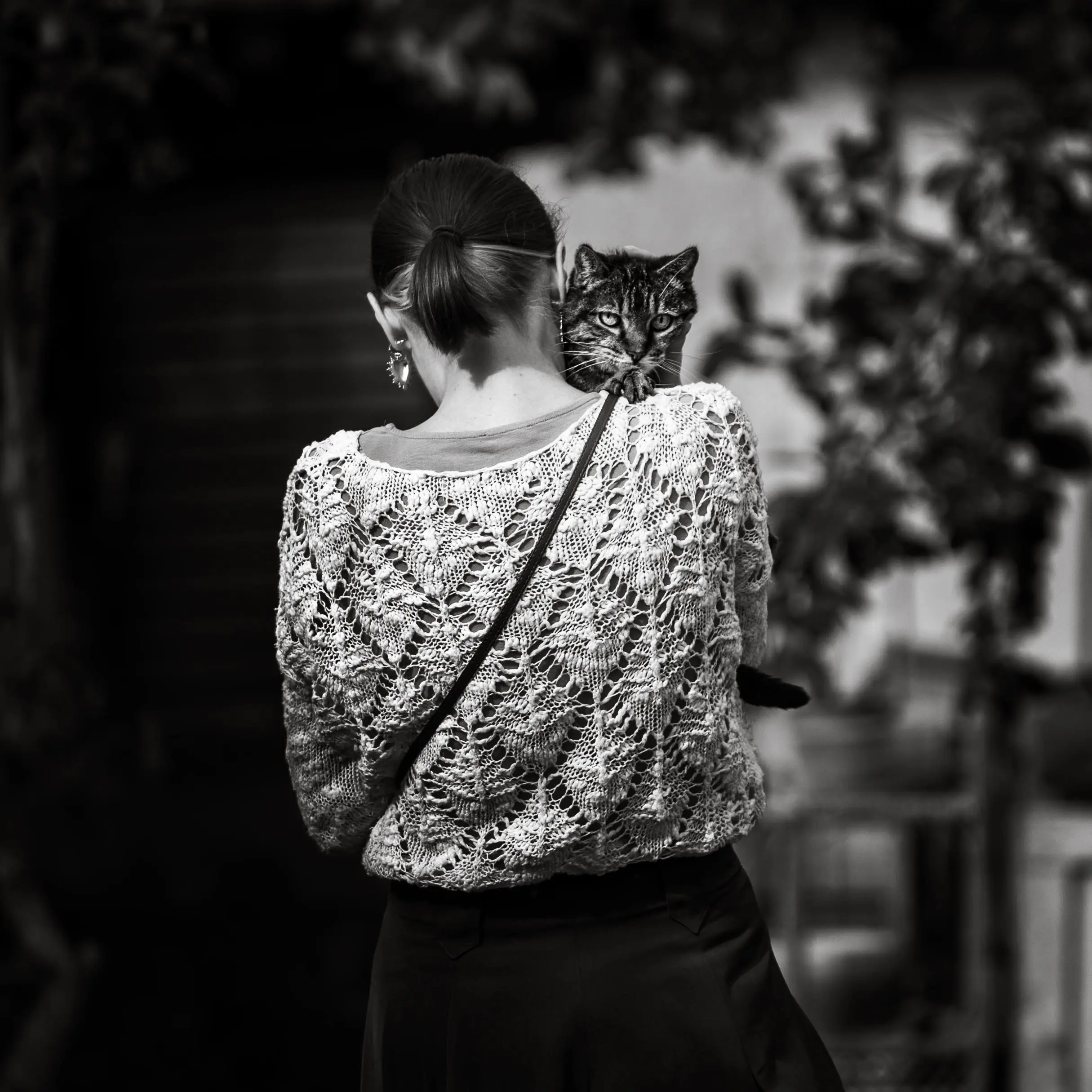 Photo portrait artistique noir et blanc chat dans les bras