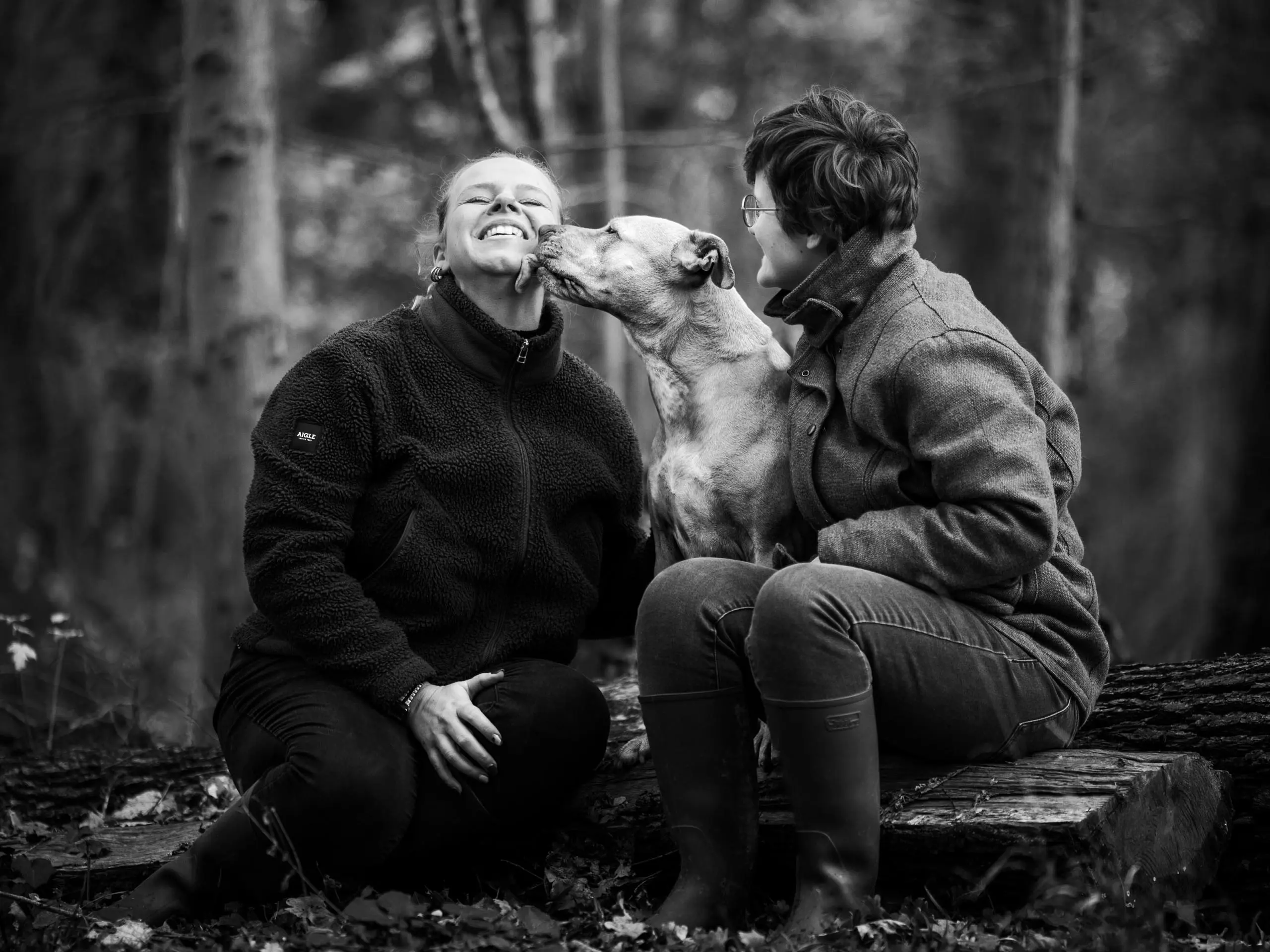 Photo portrait chien noir et blanc famille