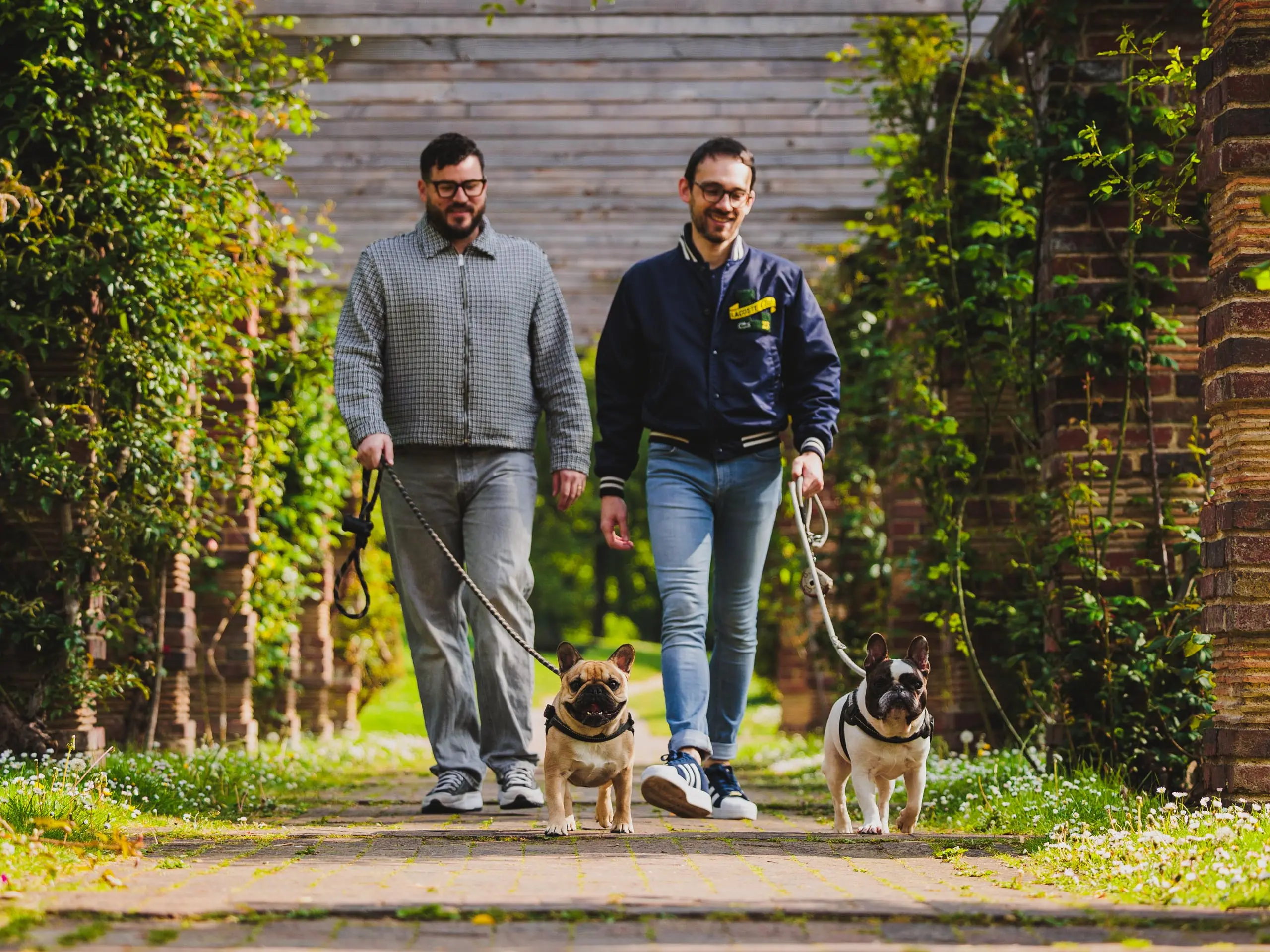 Photo portrait chien famille promenade frenchie boubou